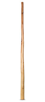 CrookedStixz Didgeridoo (AH326)